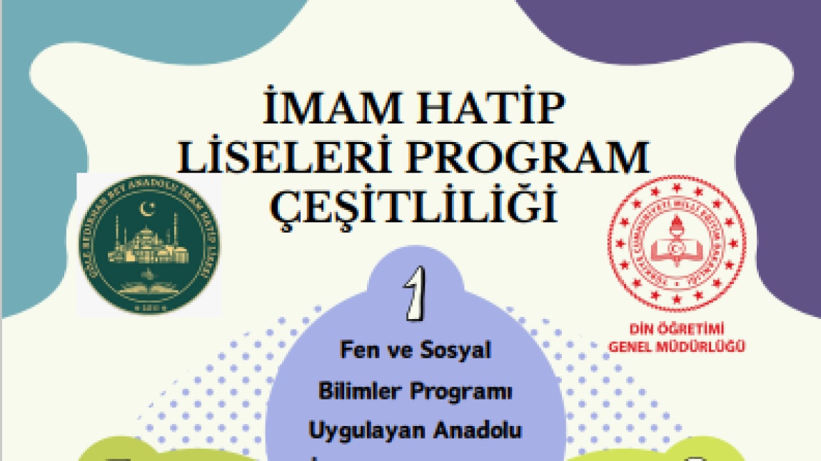 İmam Hatip Liseleri Program Çeşitliliği